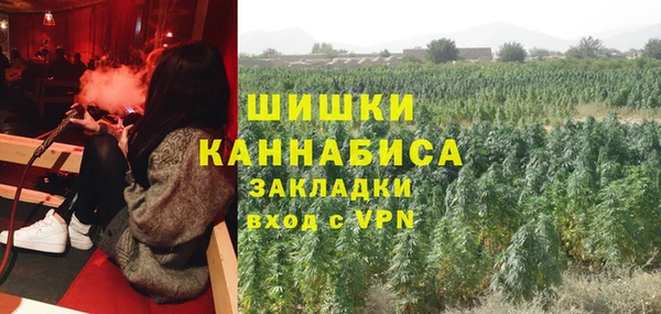 соль ск Арсеньев