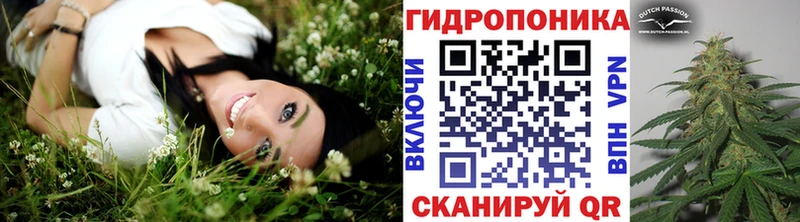 Шишки марихуана SATIVA & INDICA Менделеевск